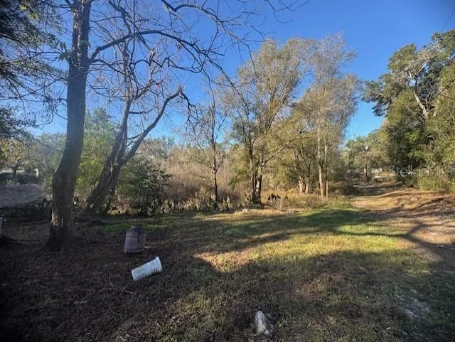 12512 CR 685 Webster, FL 33597