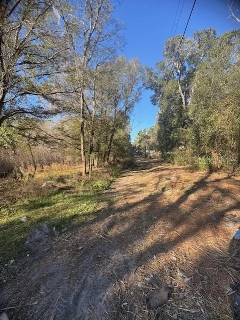 12512 CR 685 Webster, FL 33597