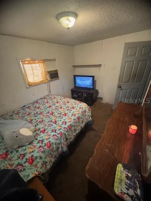 12512 CR 685 Webster, FL 33597