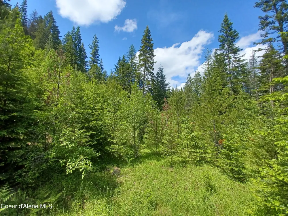 127 Coyote Trail Priest River, ID 83856