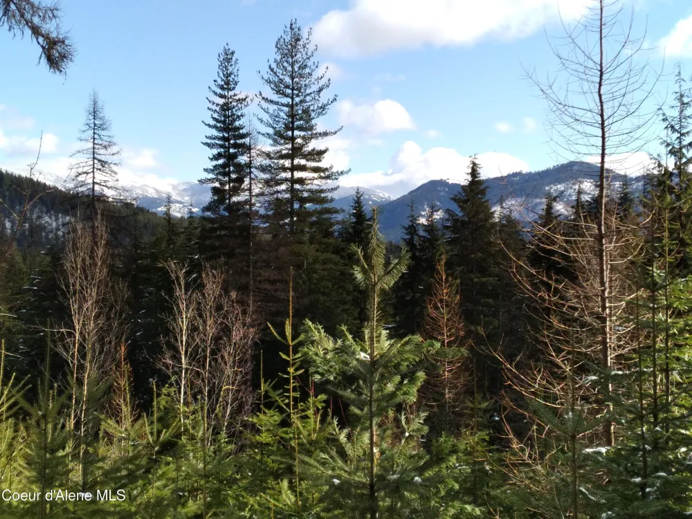 127 Coyote Trail Priest River, ID 83856