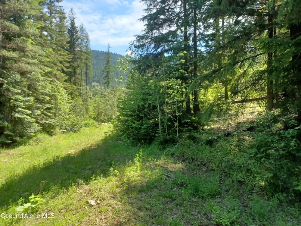 127 Coyote Trail Priest River, ID 83856