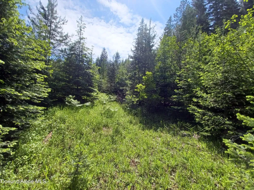 127 Coyote Trail Priest River, ID 83856