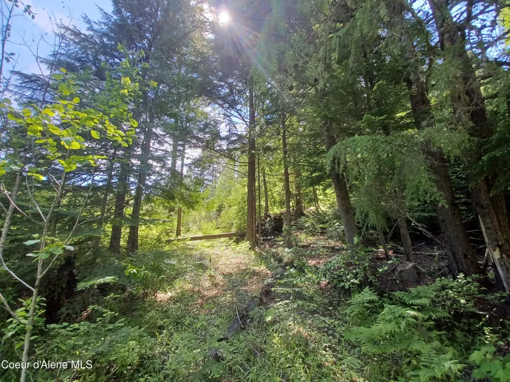 127 Coyote Trail Priest River, ID 83856