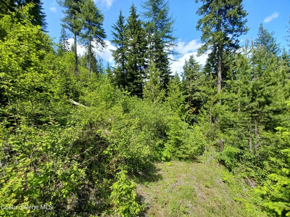 127 Coyote Trail Priest River, ID 83856