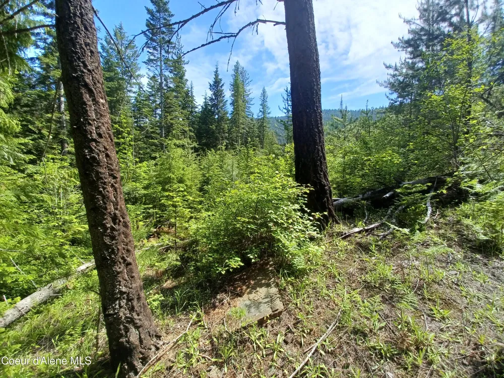 127 Coyote Trail Priest River, ID 83856