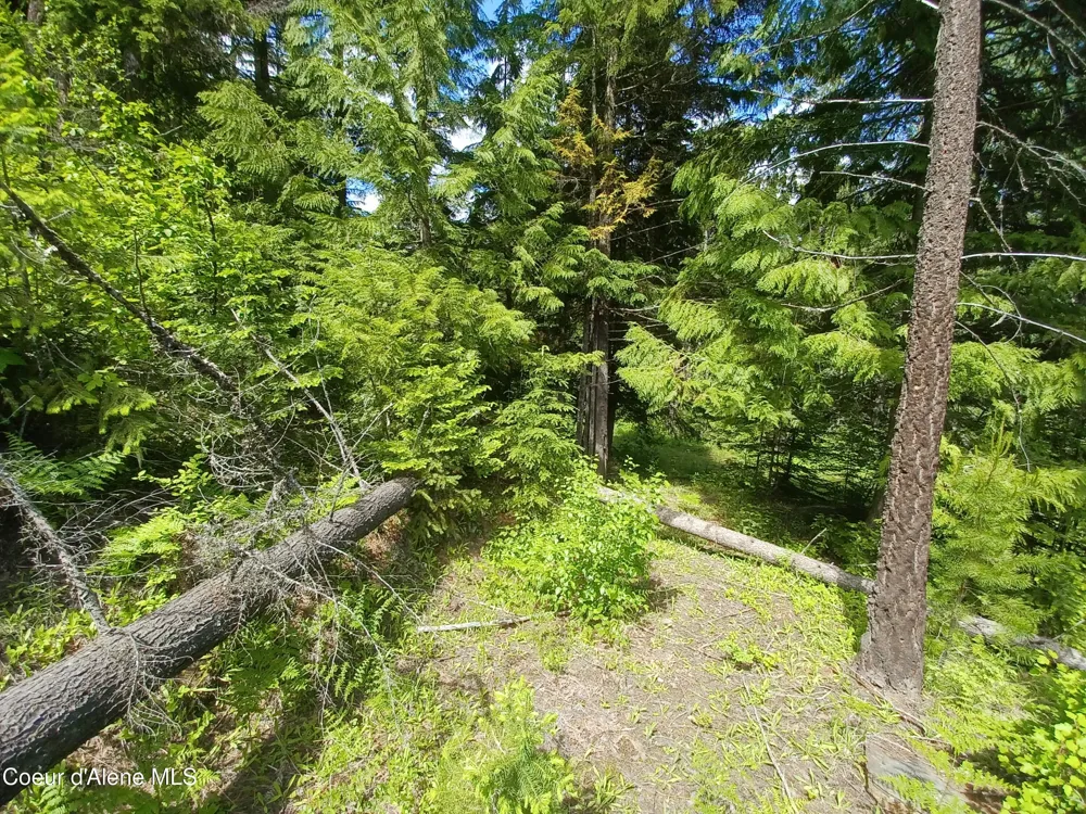 127 Coyote Trail Priest River, ID 83856