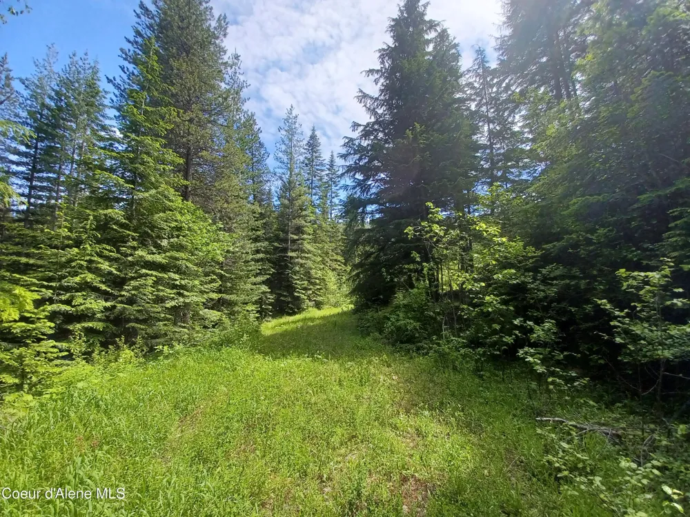 127 Coyote Trail Priest River, ID 83856