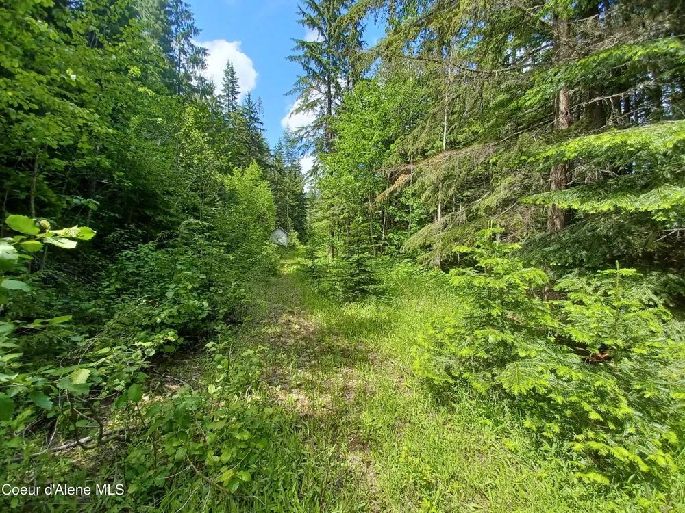 127 Coyote Trail Priest River, ID 83856