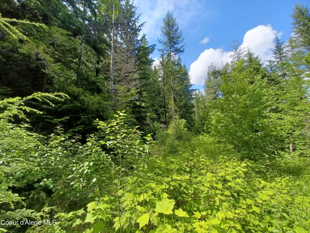 127 Coyote Trail Priest River, ID 83856