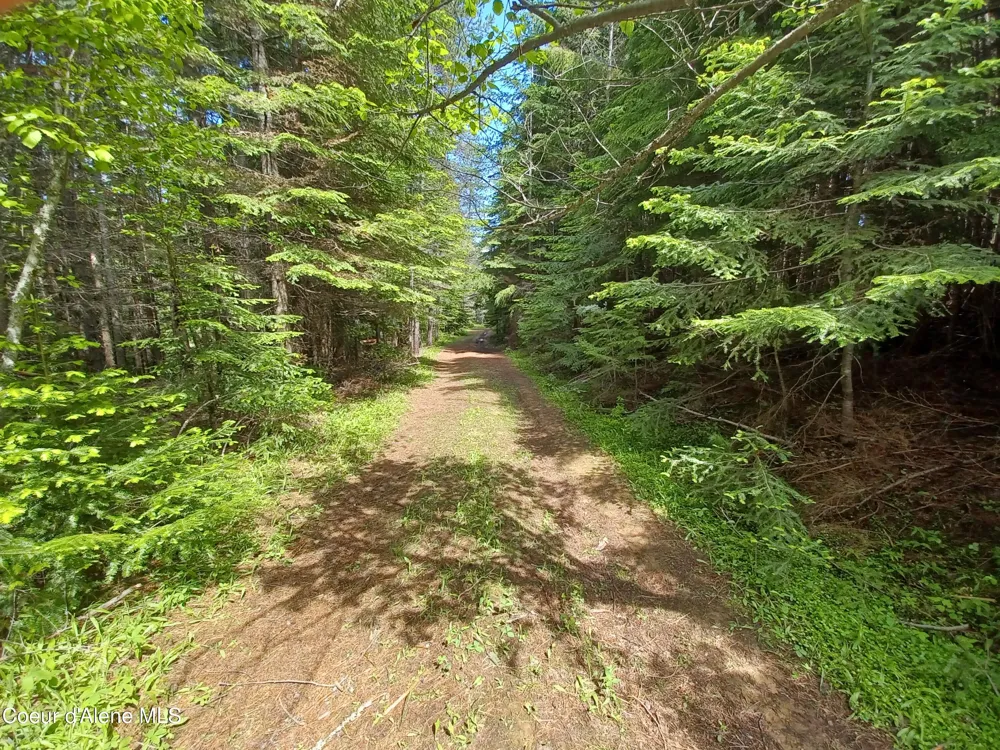 127 Coyote Trail Priest River, ID 83856