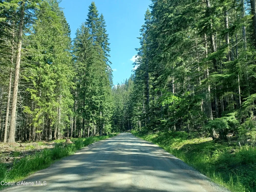 127 Coyote Trail Priest River, ID 83856