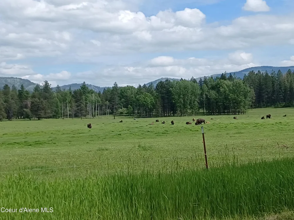 127 Coyote Trail Priest River, ID 83856