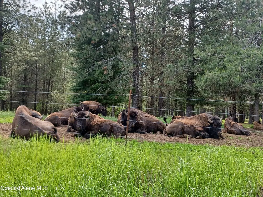 127 Coyote Trail Priest River, ID 83856