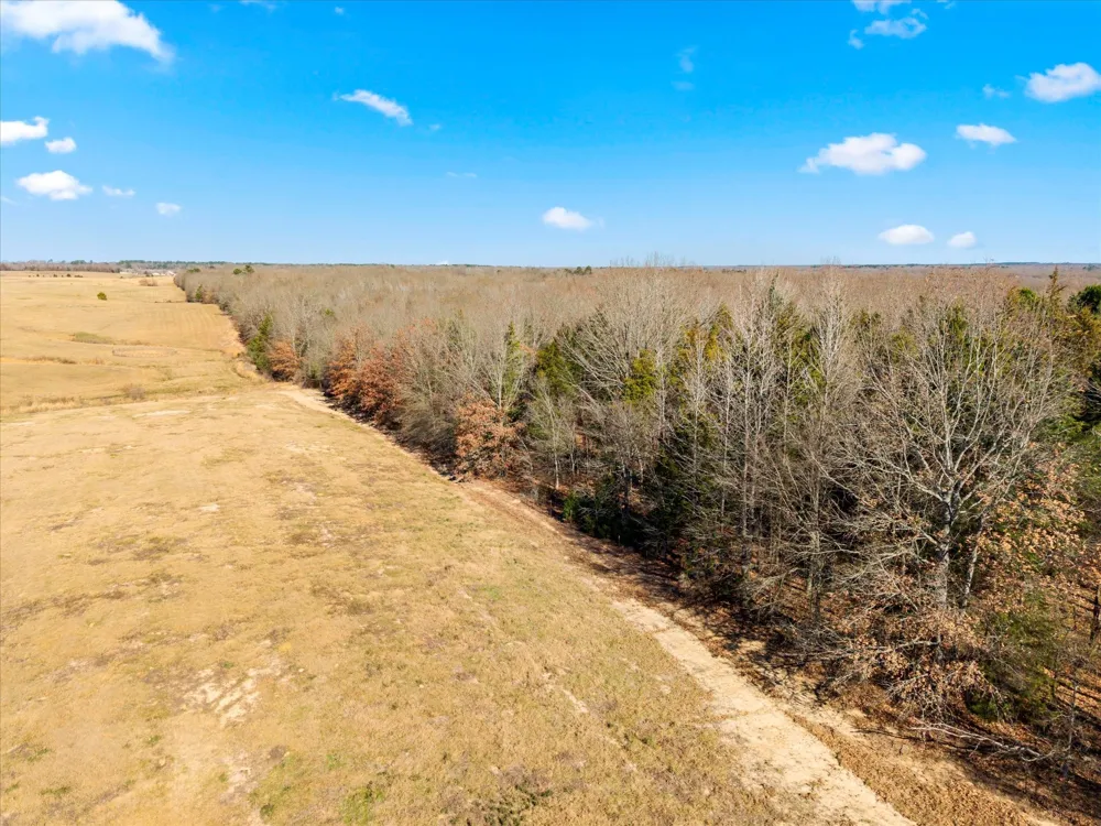 Us-271 #12 Mt Pleasant, TX 75455