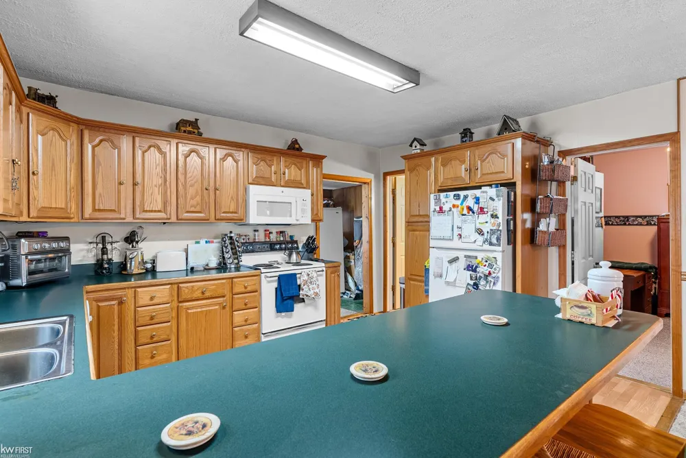 10528 Lake Shore Drive Tyrone Township, MI 48430