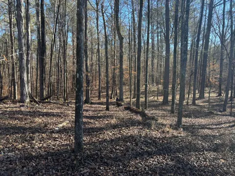 00 Carl Mathis Road