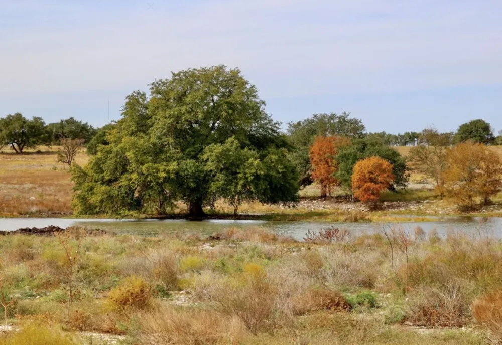 301 Yaklin Drive Liberty Hill, TX 78642