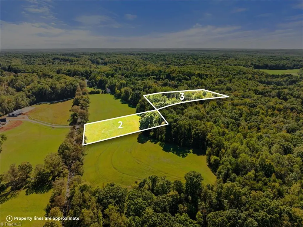 8126 Hilltop Farms Drive Lewisville, NC 27023