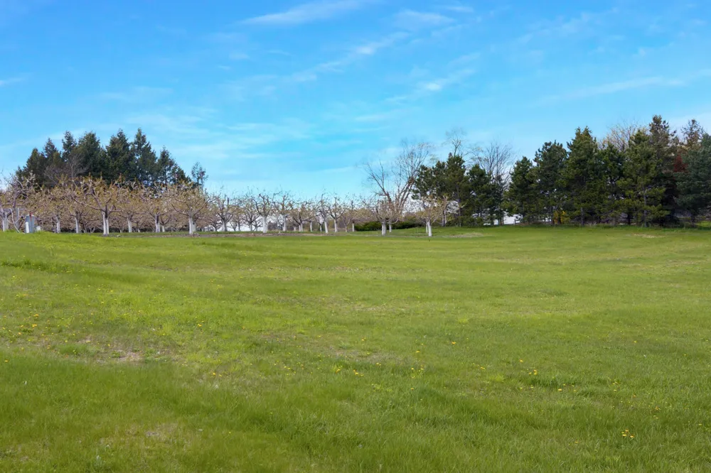 8392 Monarch Lane Whitewater Township, MI 49690
