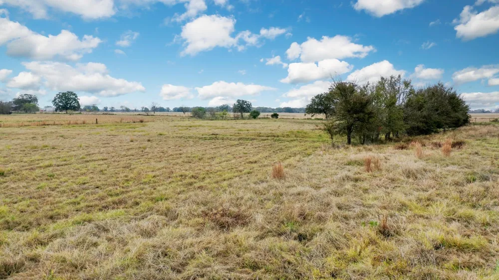 9101 Fm 1428 Midway, TX 75852