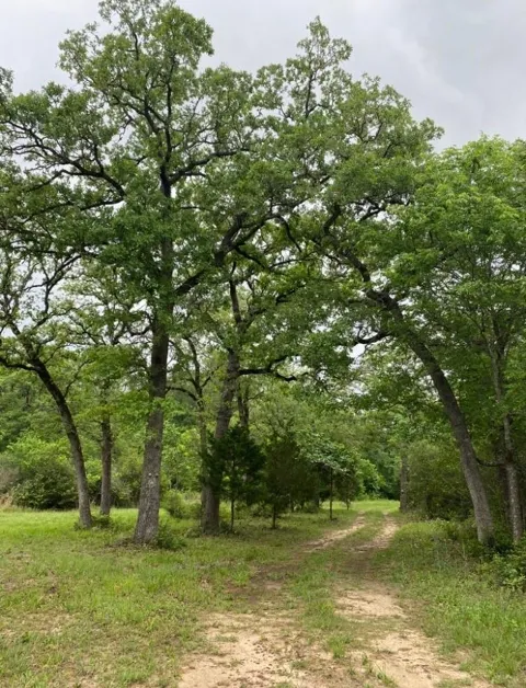 1803 Doe Run Drive