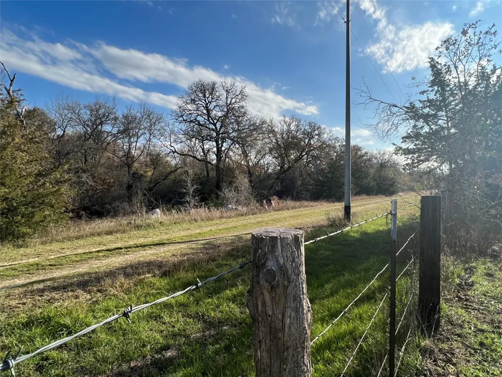 1803 Doe Run Drive Waelder, TX 78959