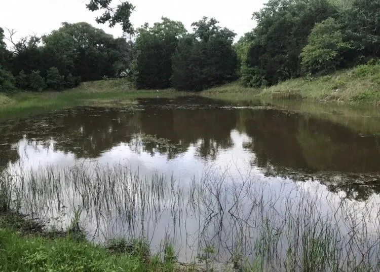1803 Doe Run Drive Waelder, TX 78959