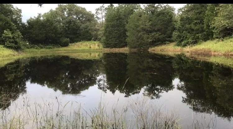 1803 Doe Run Drive Waelder, TX 78959