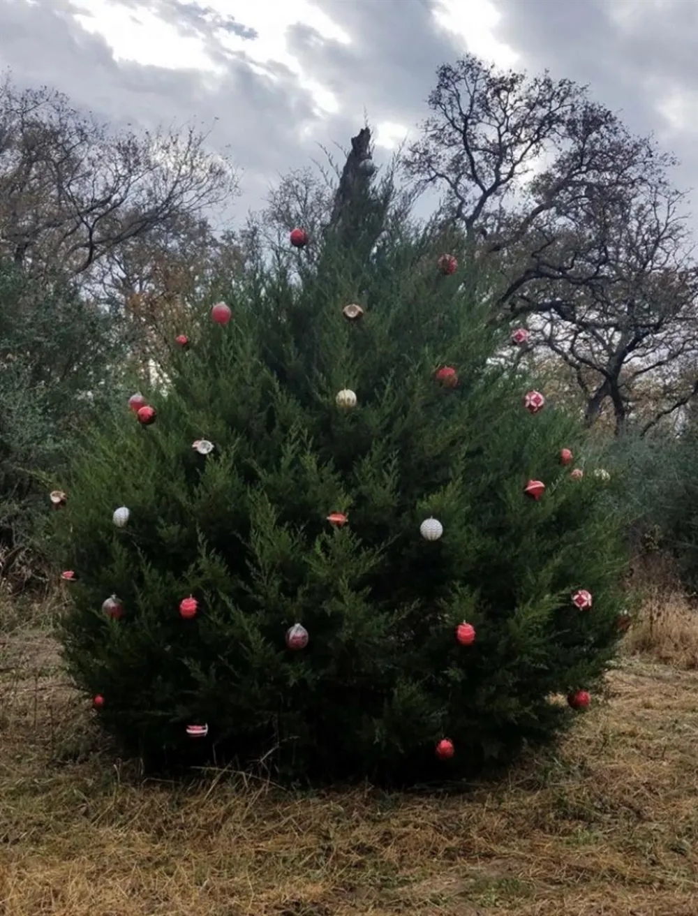 1803 Doe Run Drive Waelder, TX 78959