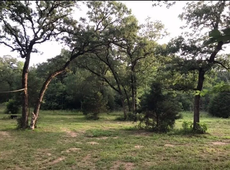 1803 Doe Run Drive Waelder, TX 78959