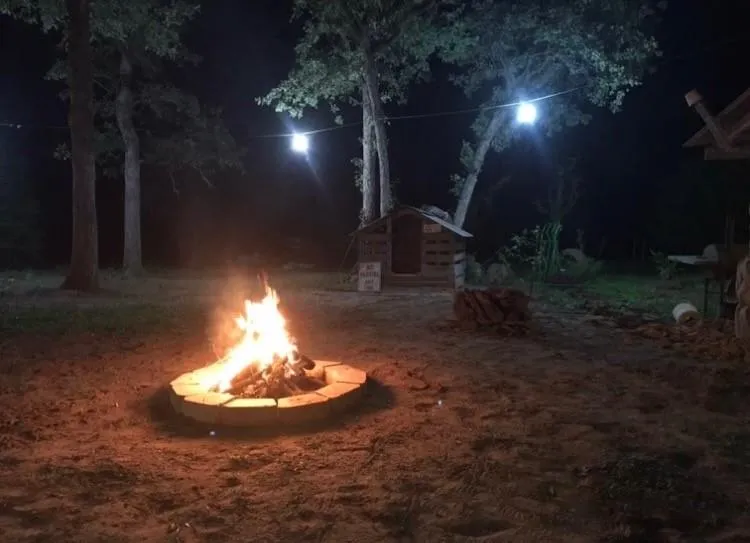 1803 Doe Run Drive Waelder, TX 78959
