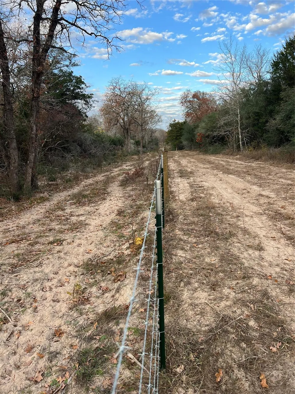 1803 Doe Run Drive Waelder, TX 78959