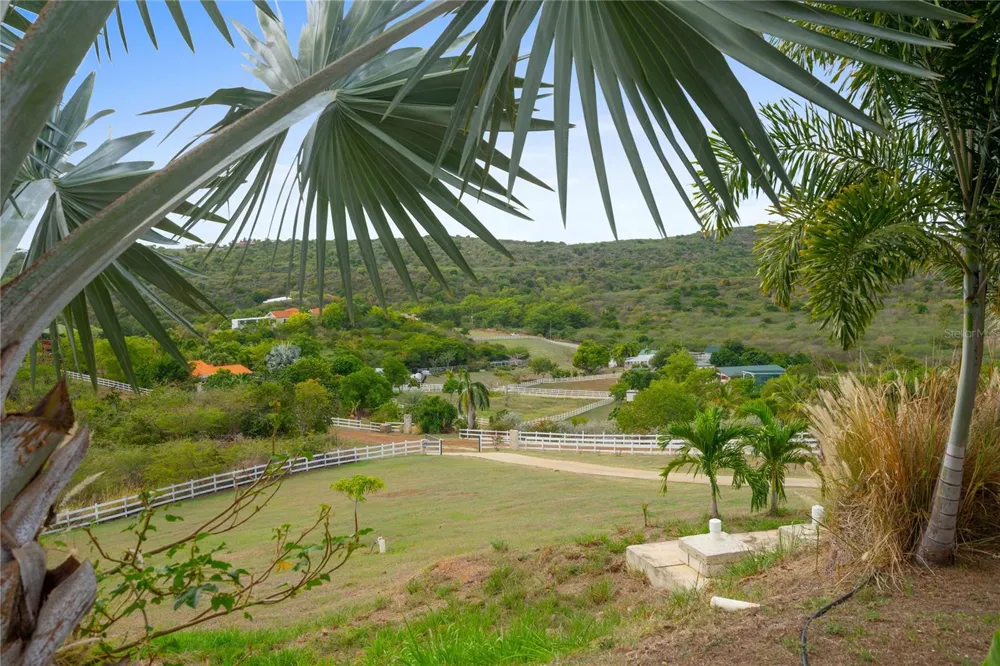 11 BARRIO FRAILES Culebra, PR 00775