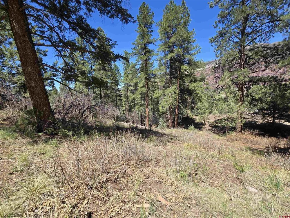 238 Pine Ridge Drive Ridgway, CO 81432