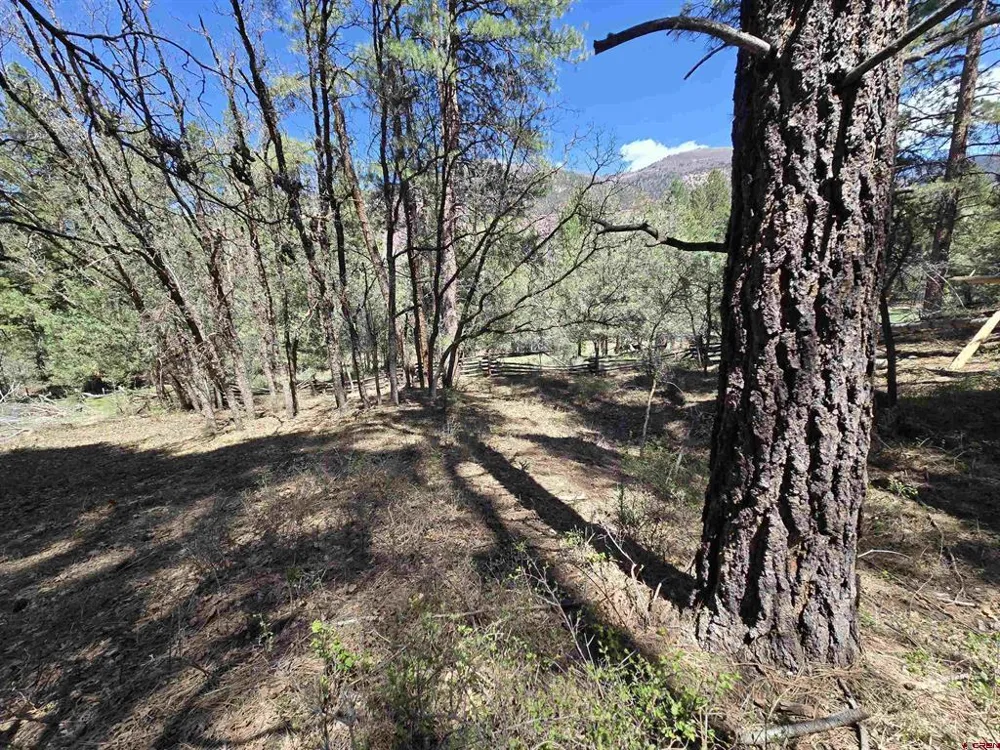 238 Pine Ridge Drive Ridgway, CO 81432