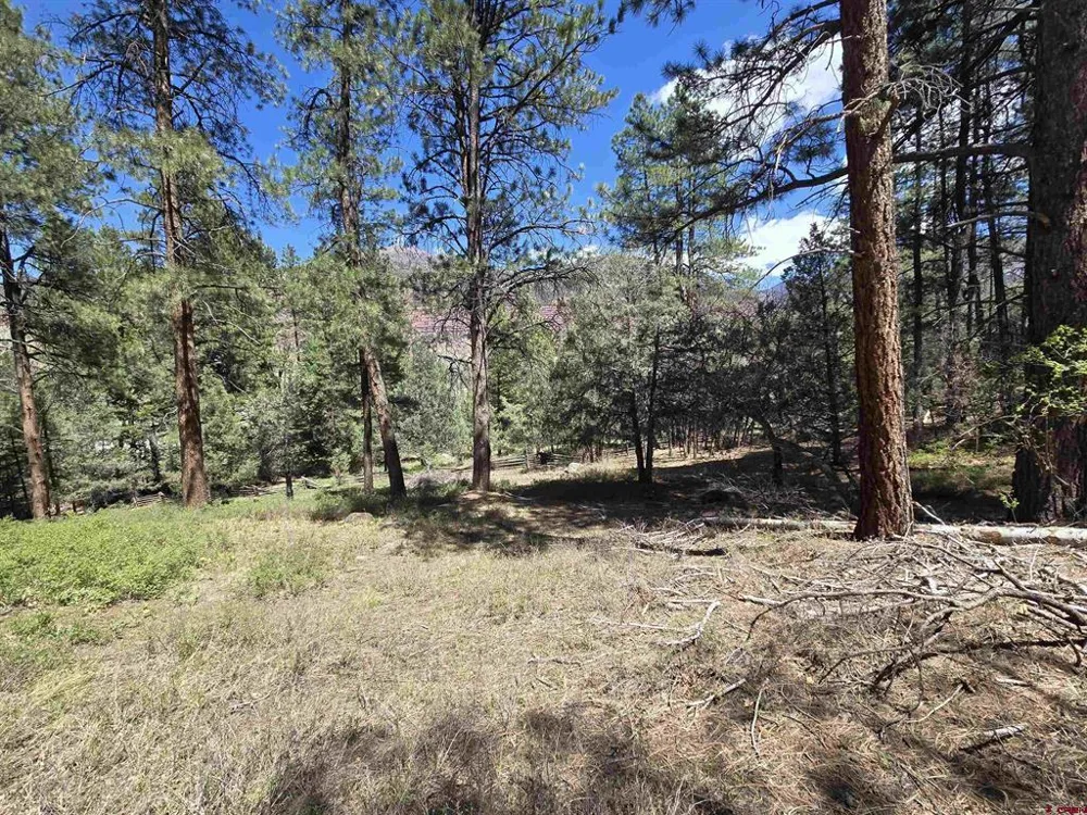 238 Pine Ridge Drive Ridgway, CO 81432