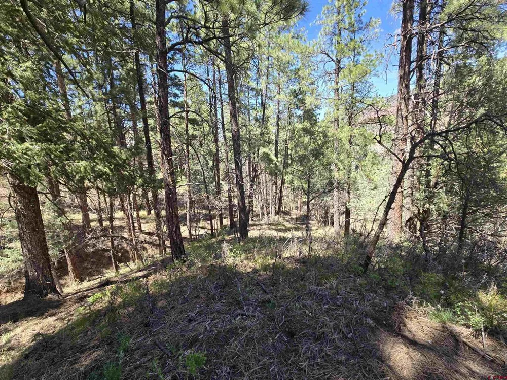 238 Pine Ridge Drive Ridgway, CO 81432