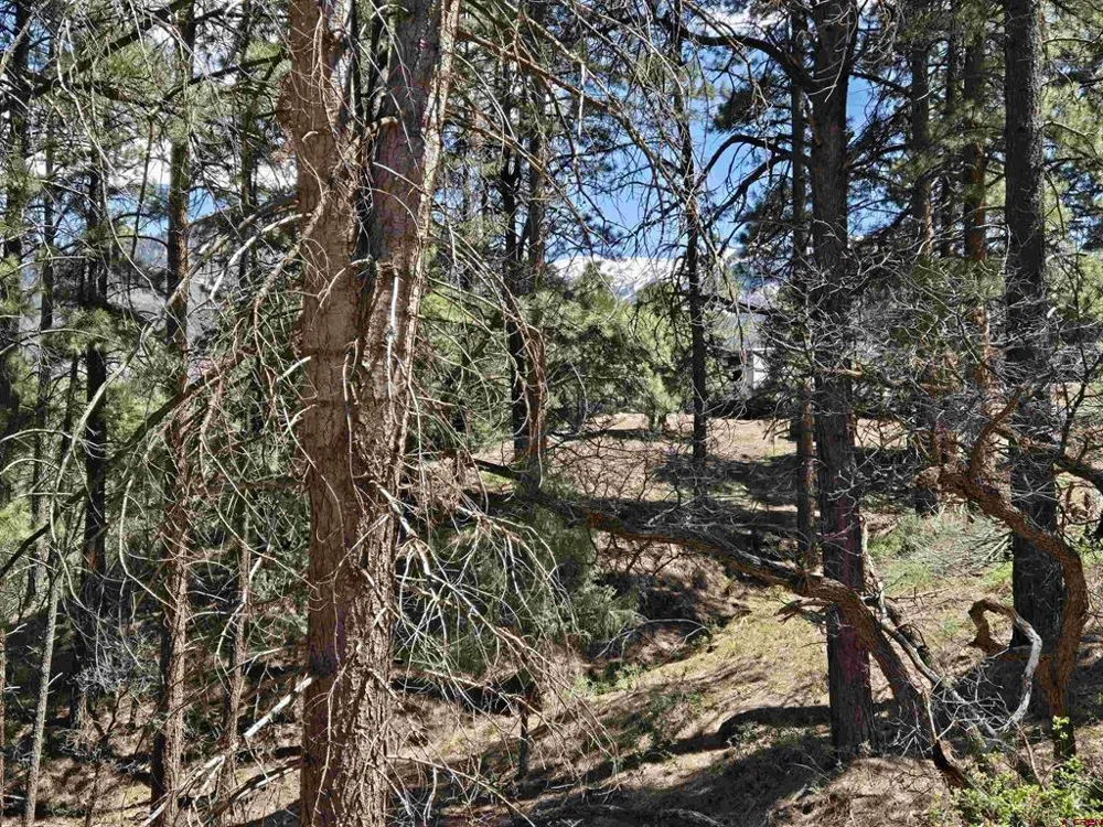 238 Pine Ridge Drive Ridgway, CO 81432
