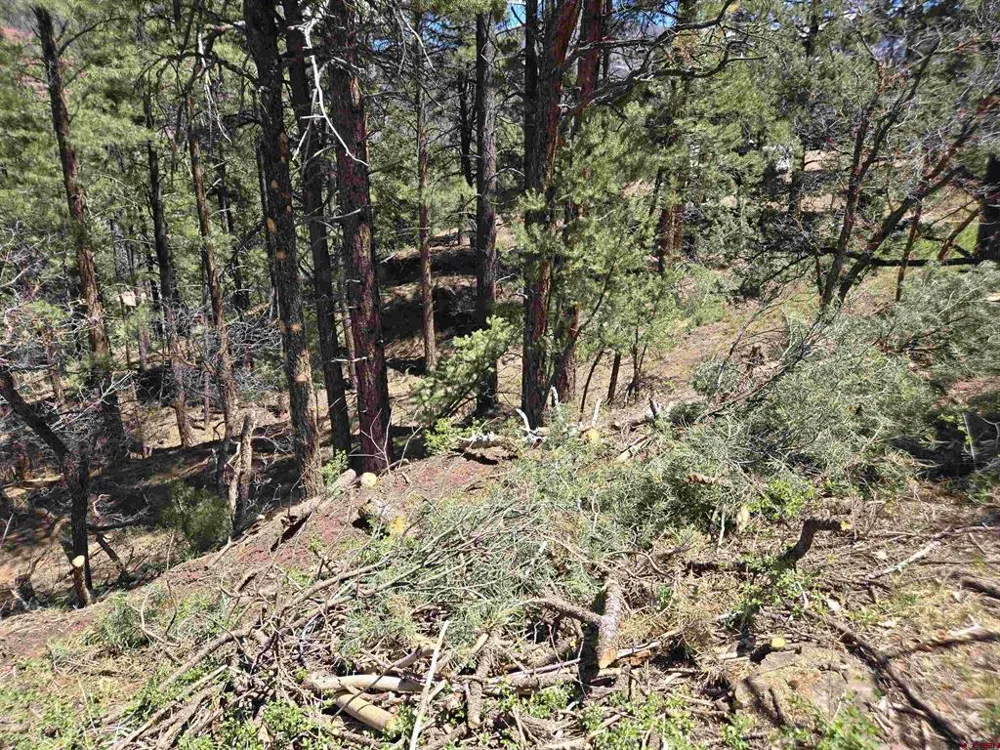 238 Pine Ridge Drive Ridgway, CO 81432