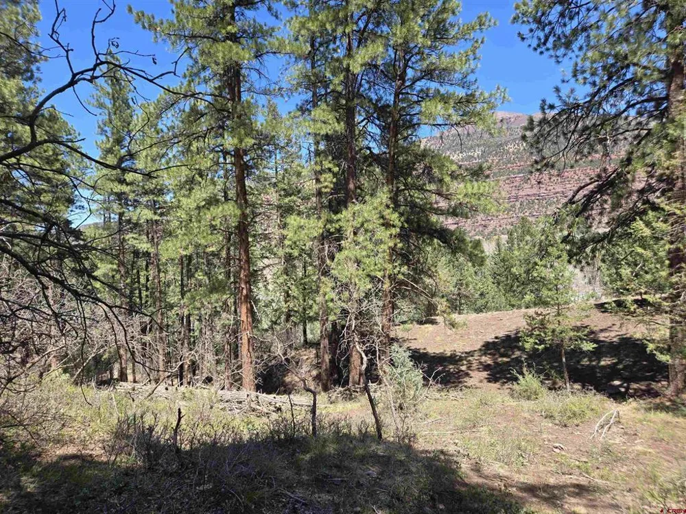 238 Pine Ridge Drive Ridgway, CO 81432