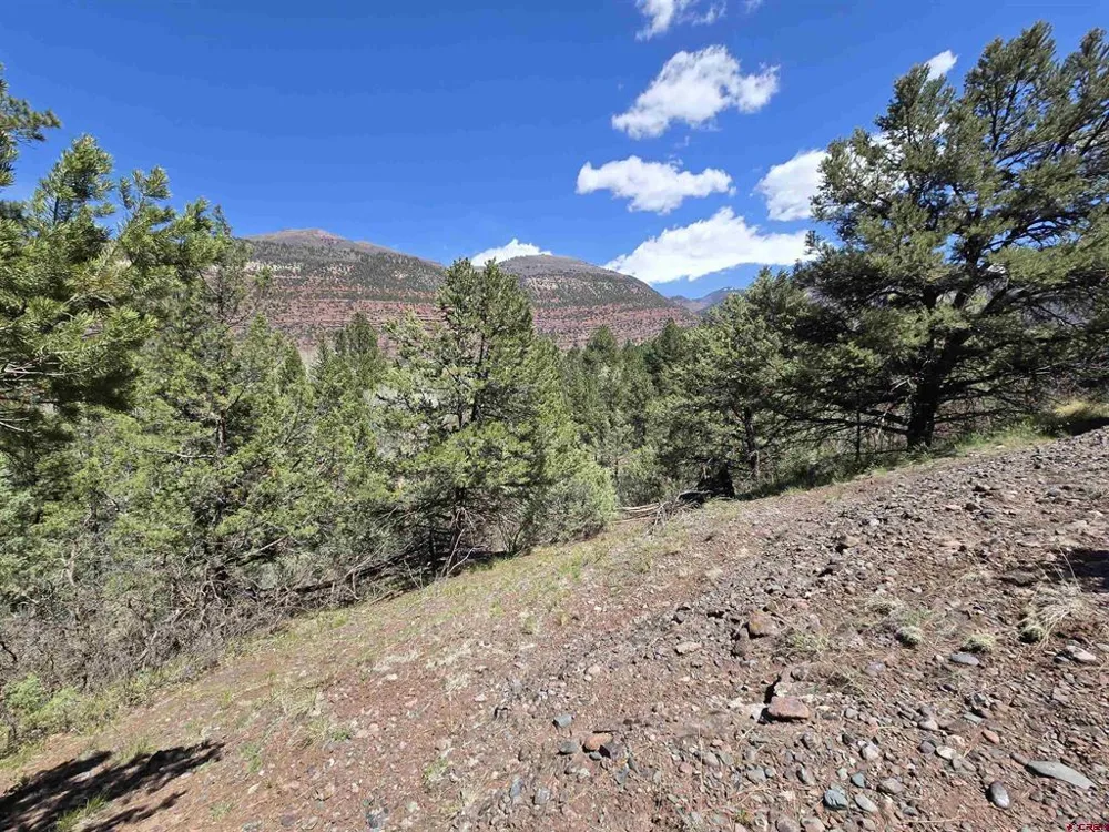 238 Pine Ridge Drive Ridgway, CO 81432