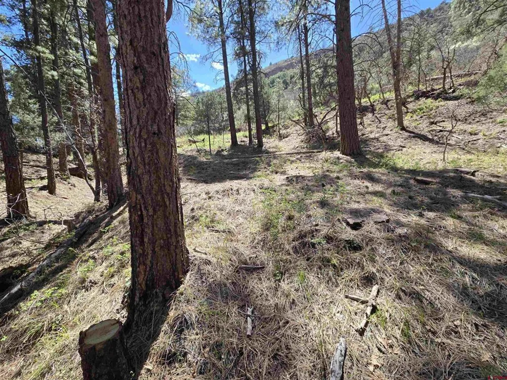 238 Pine Ridge Drive Ridgway, CO 81432