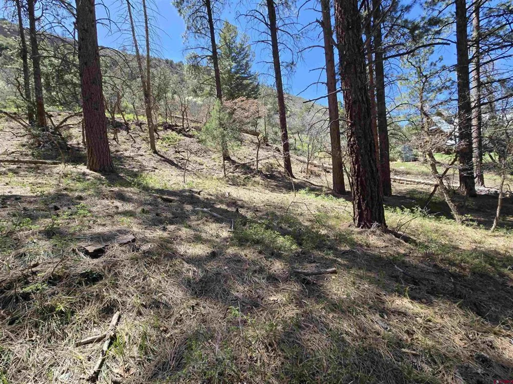 238 Pine Ridge Drive Ridgway, CO 81432