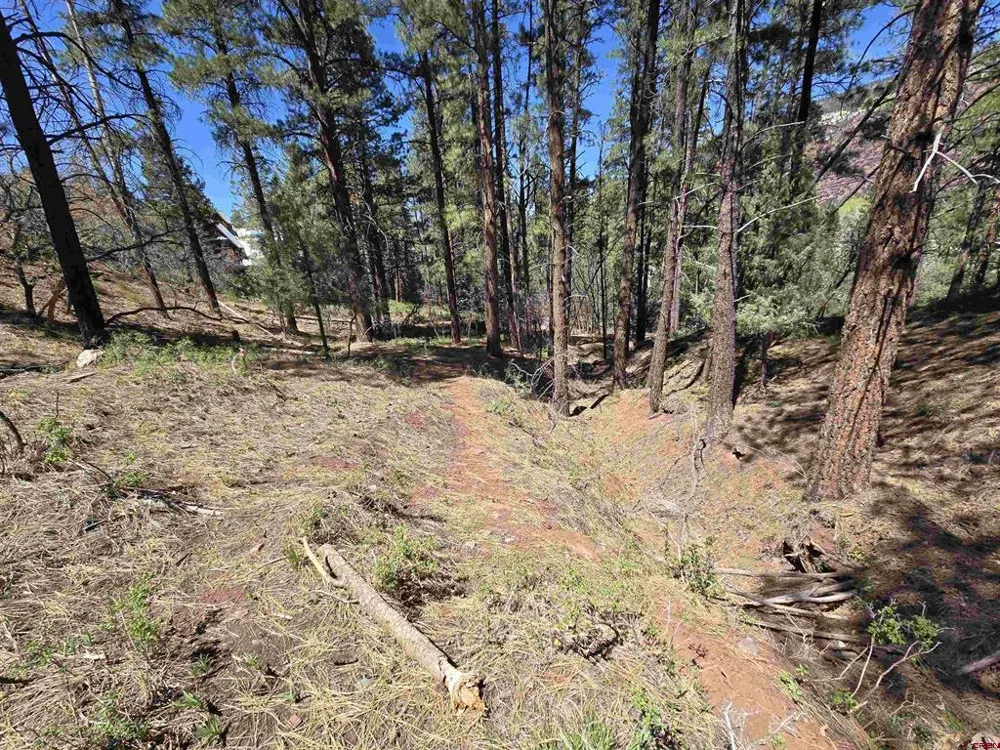 238 Pine Ridge Drive Ridgway, CO 81432