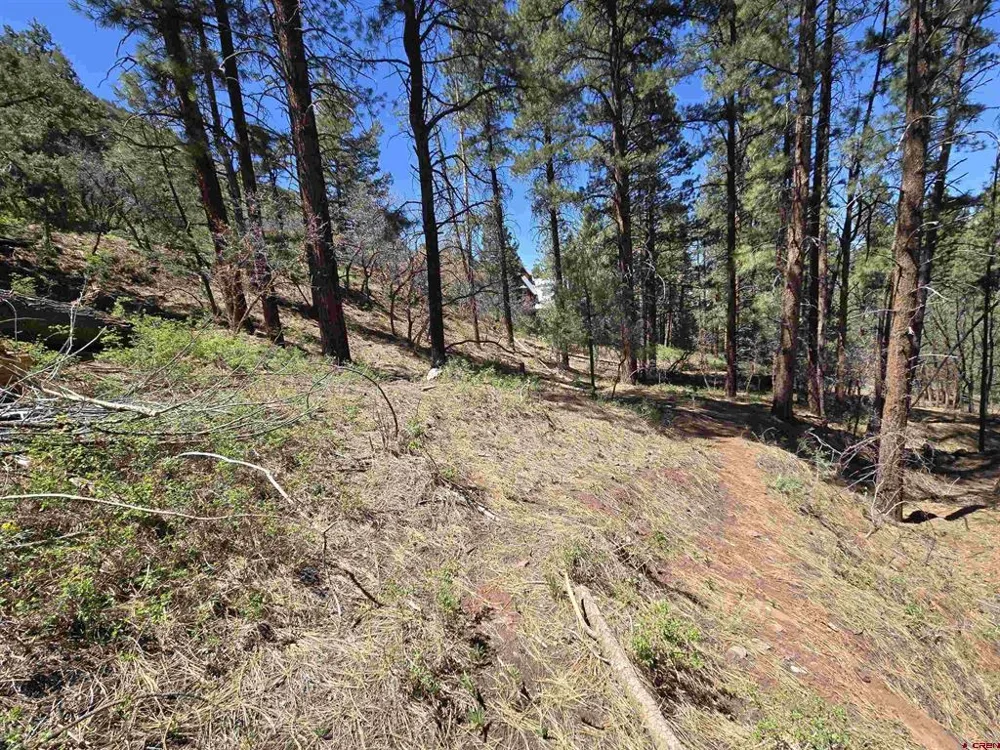 238 Pine Ridge Drive Ridgway, CO 81432