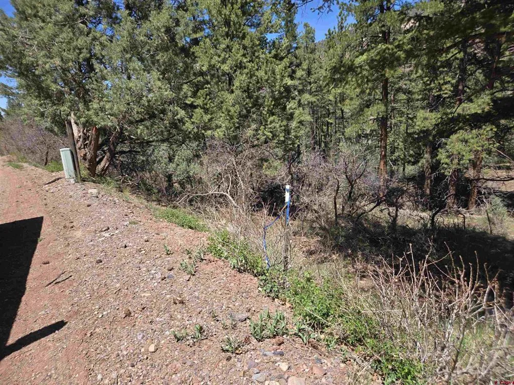 238 Pine Ridge Drive Ridgway, CO 81432