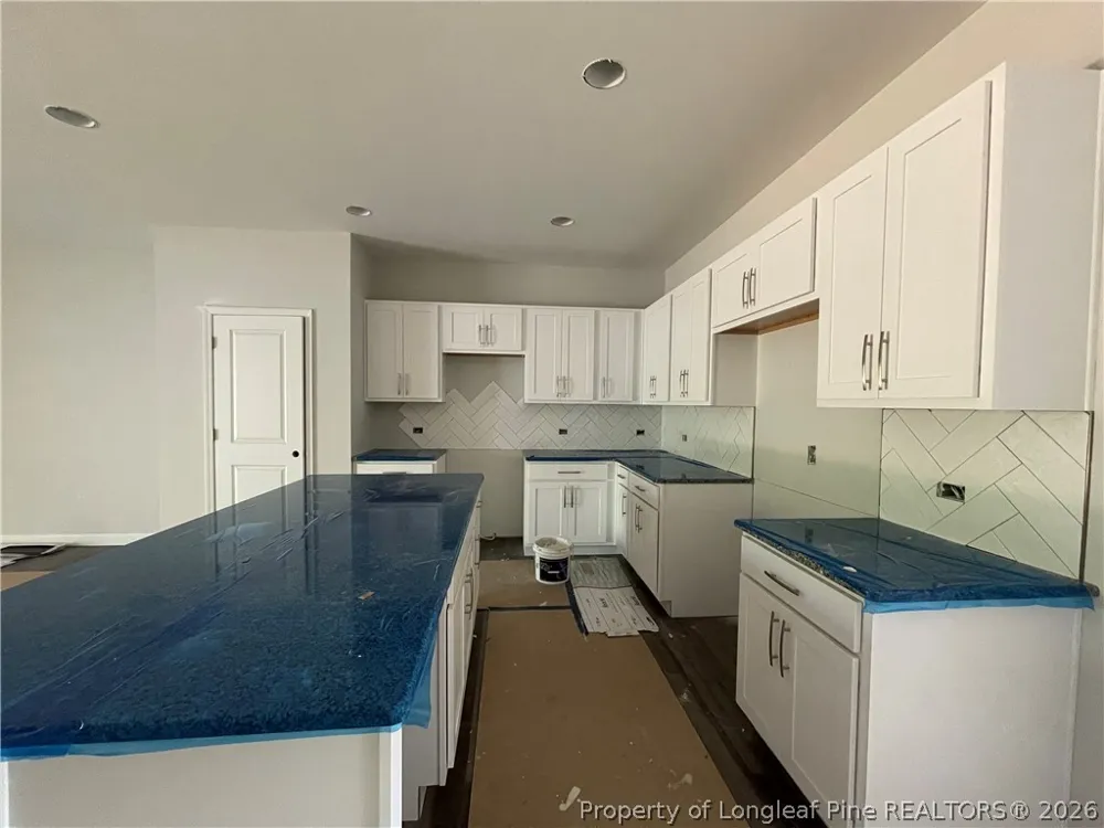 113 Michter Street Vass, NC 28394