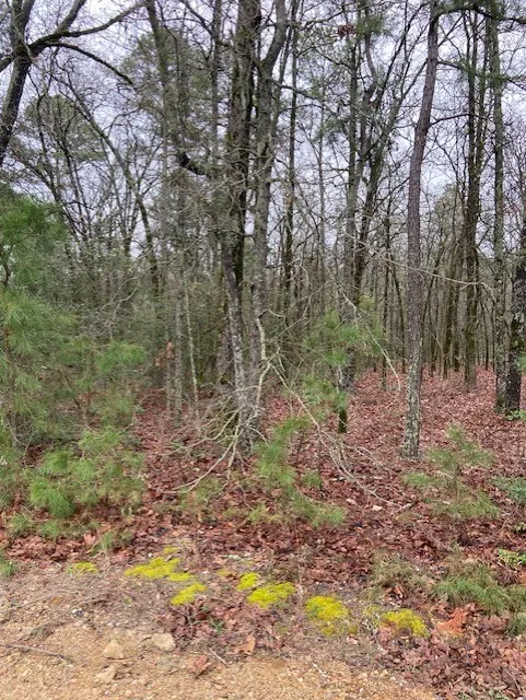 2529 CR 3540 Hawkins, TX 75765