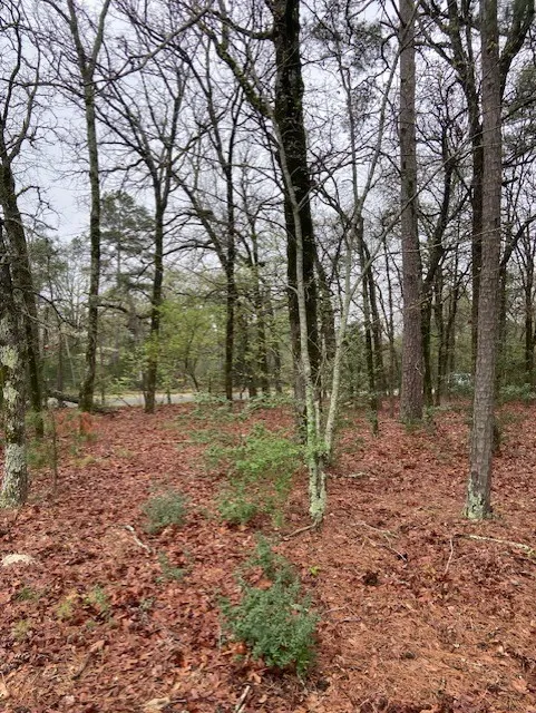 2529 CR 3540 Hawkins, TX 75765